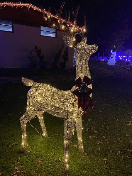 Lighted reindeer decoration adorned with a red bow in a nighttime garden, with festive lights in the background.